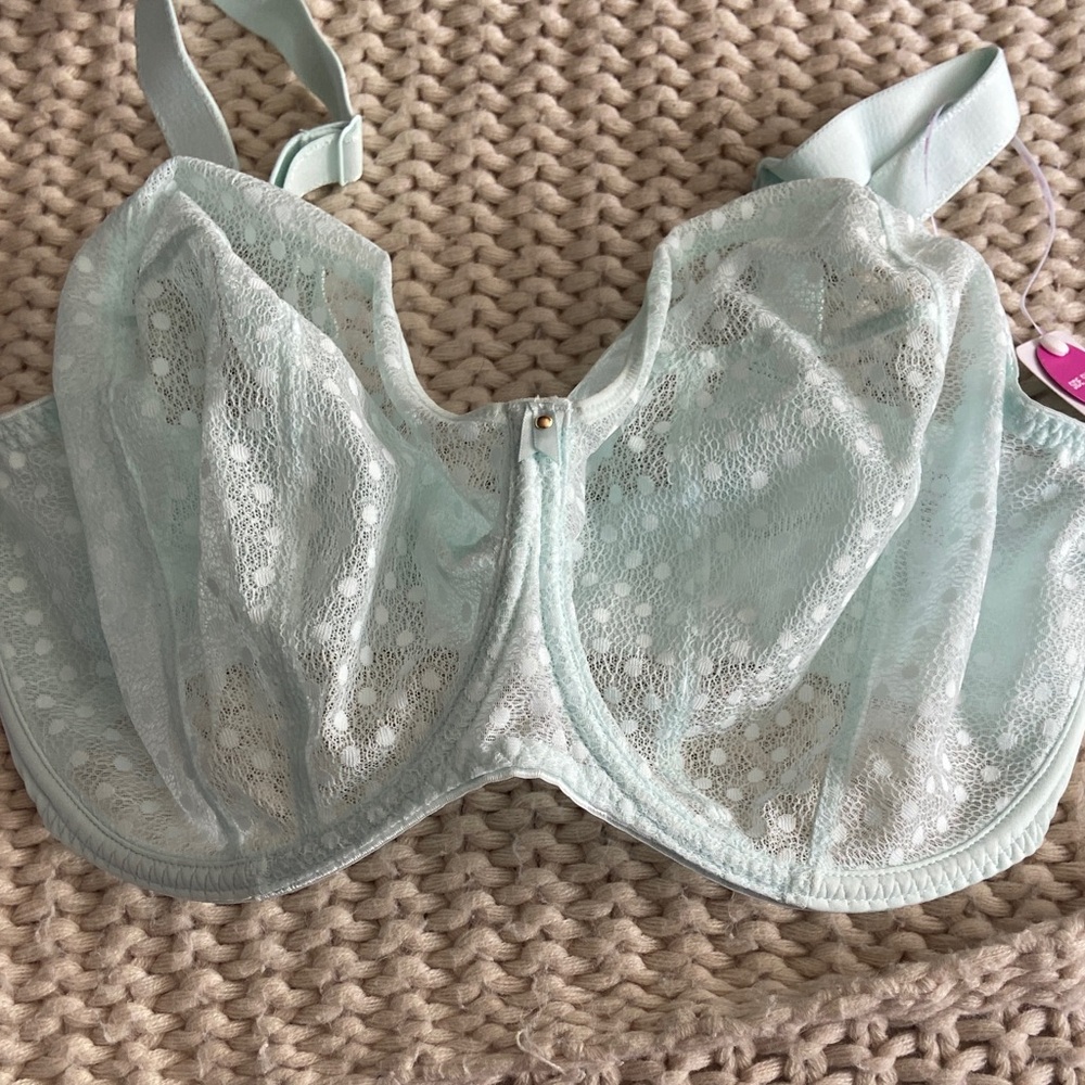 Freya Light Blue Lace Bra
